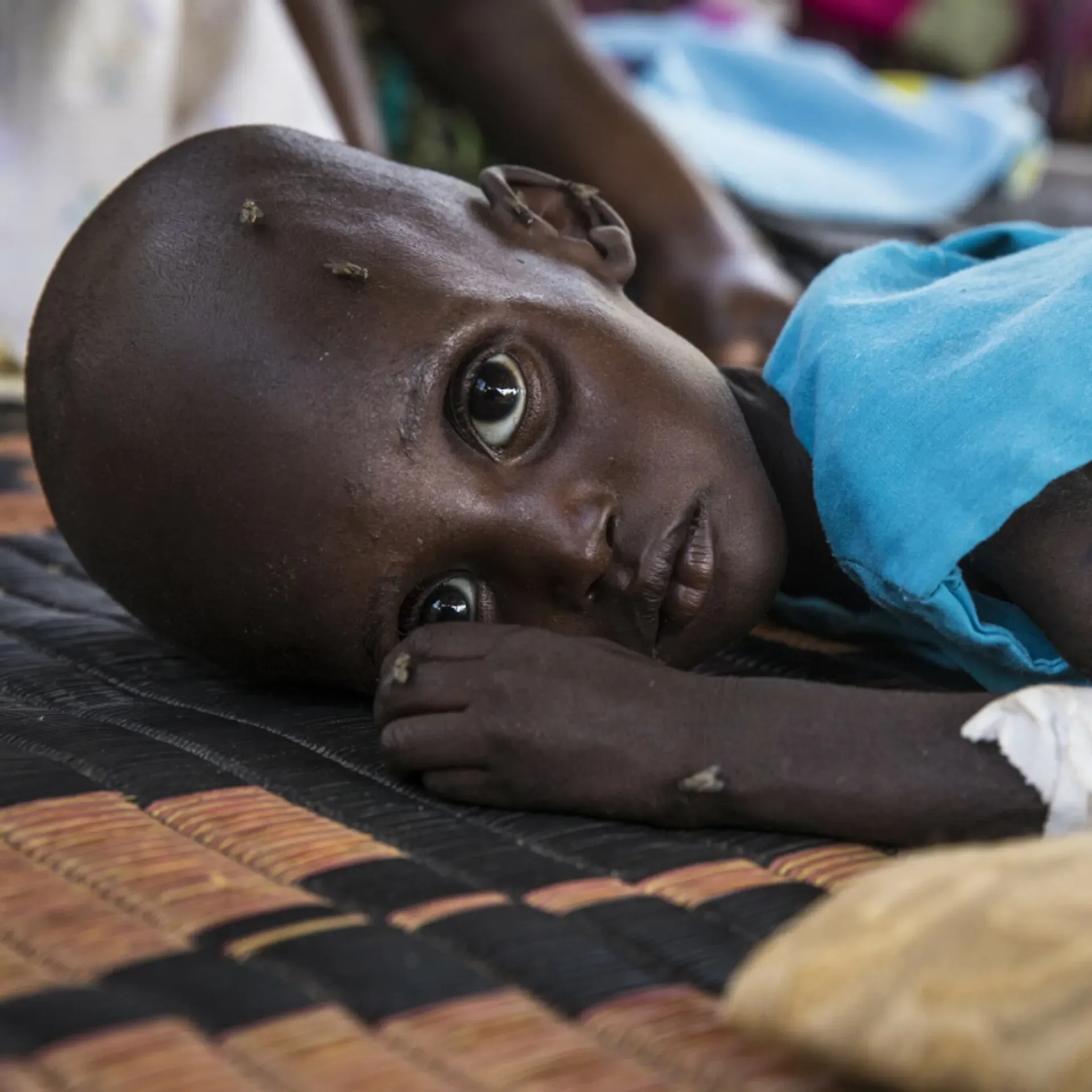 Famine and Suffering
