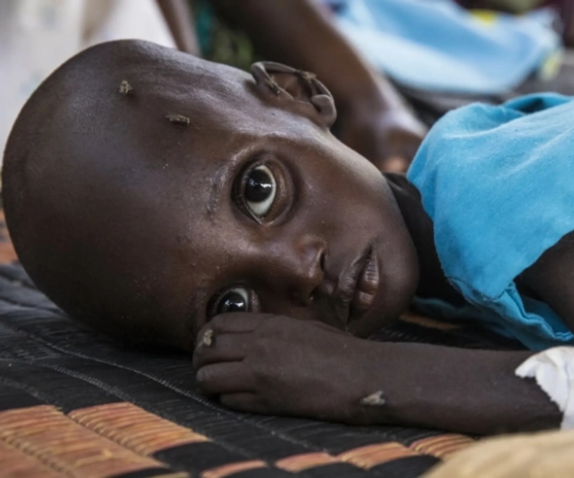 Sudan Emergency Appeal