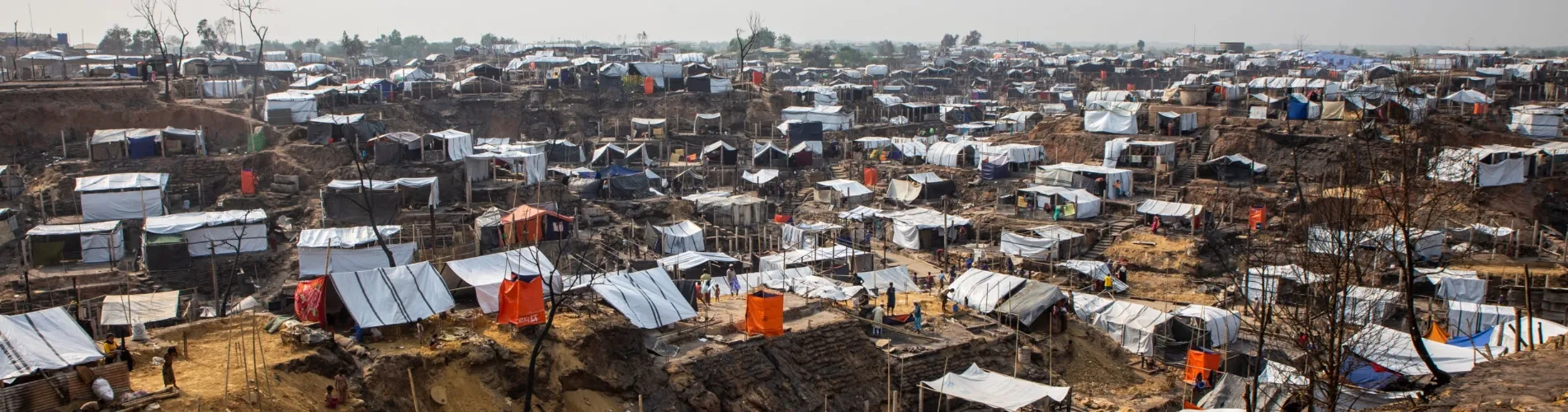 Rohingya Appeal cover image