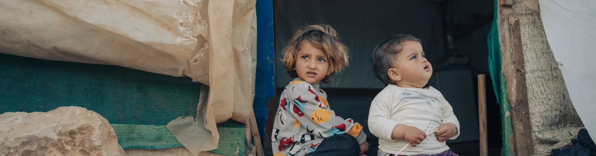 Syria Appeal cover image