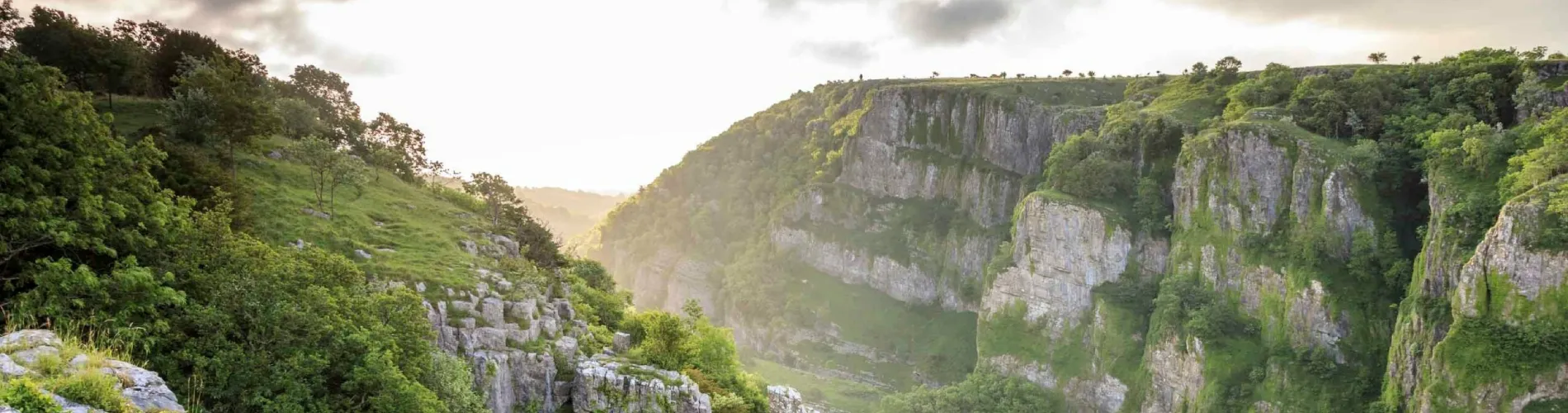 Cheddar Gorge Trek cover image