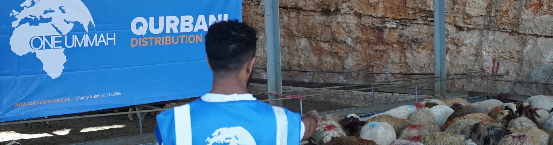 Beyond the Ritual: The Spiritual and Ethical Significance of Qurbani cover image