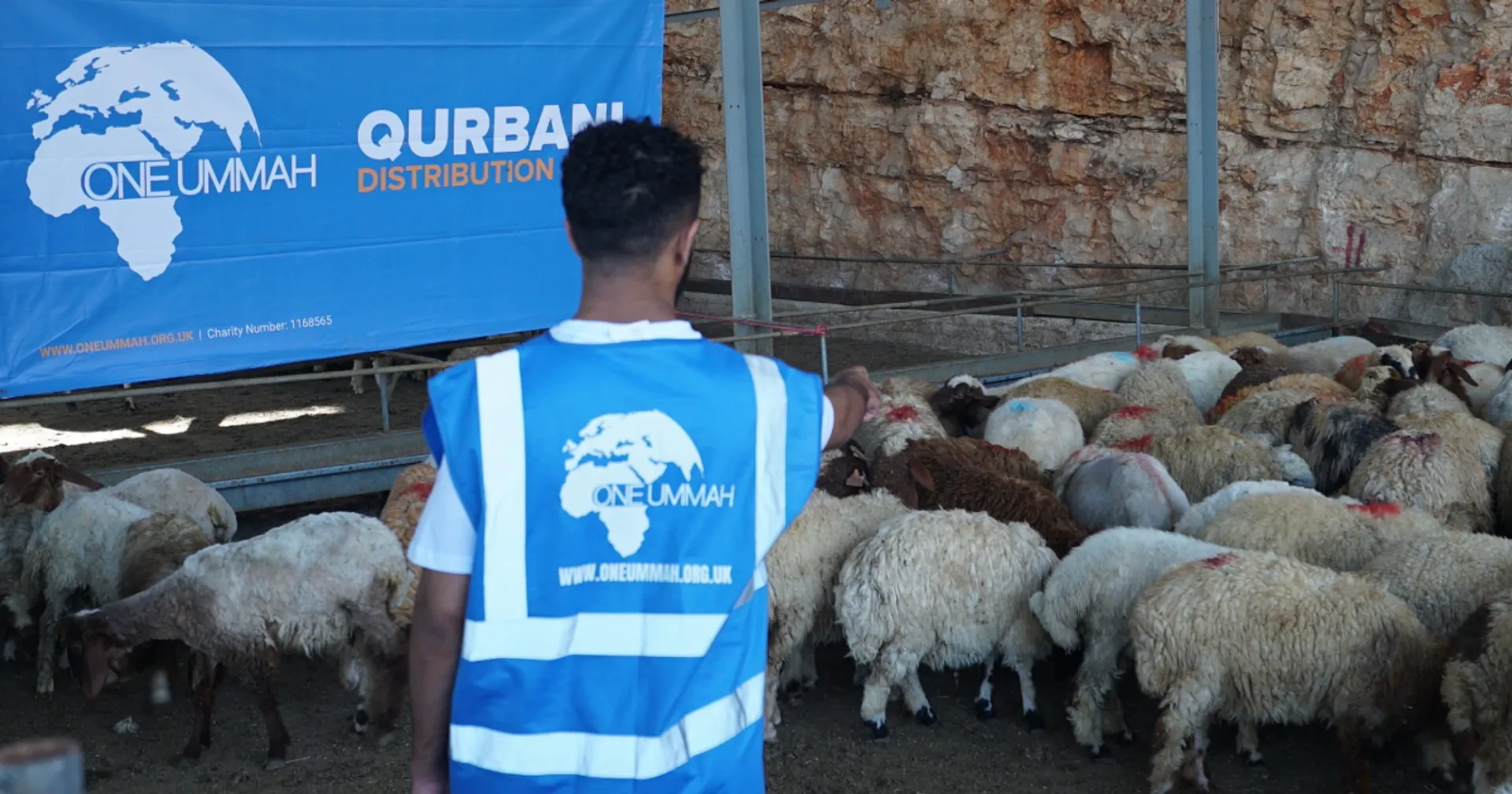 Beyond the Ritual: The Spiritual and Ethical Significance of Qurbani thumbnail image